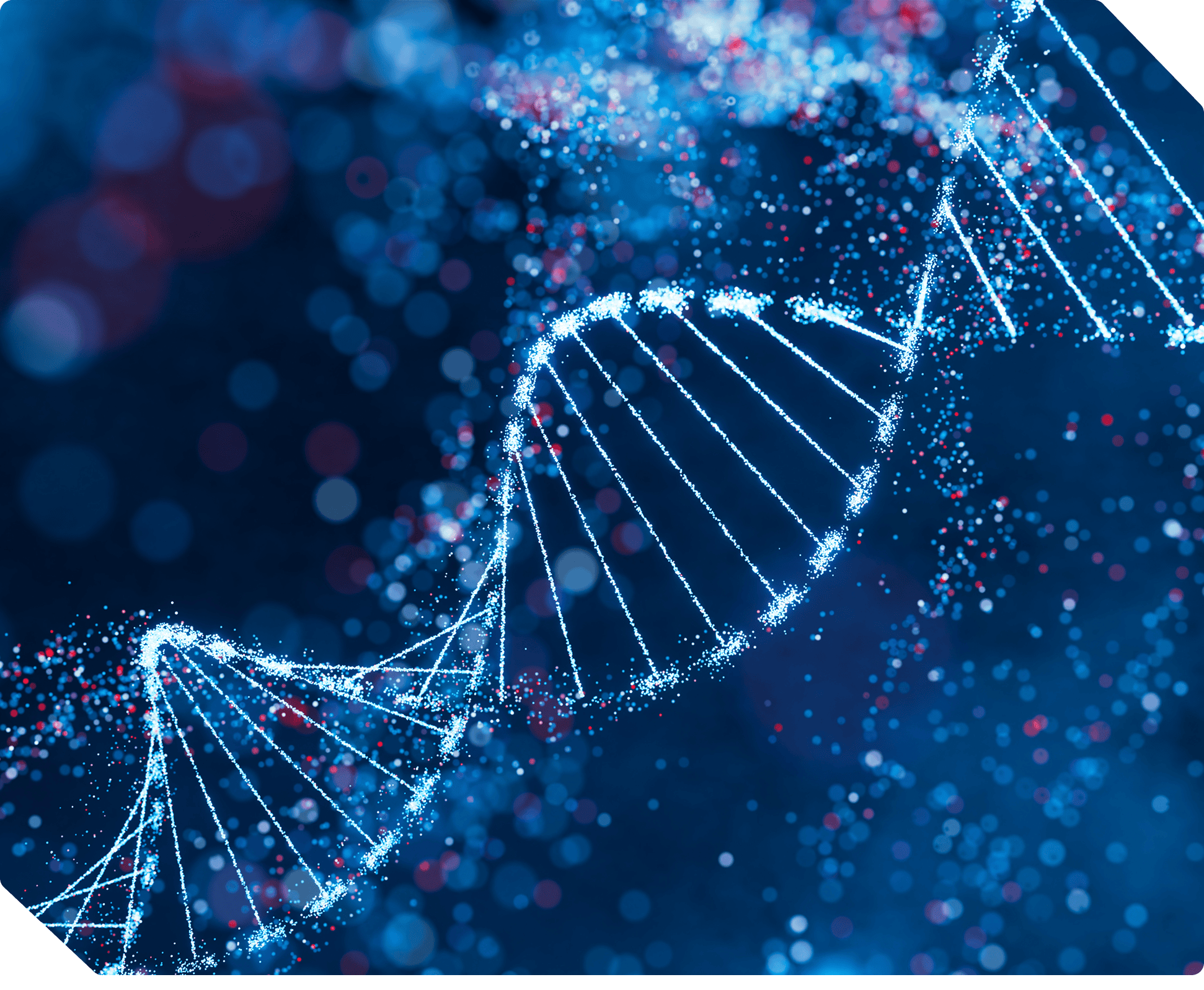 DNA strand against a blue background